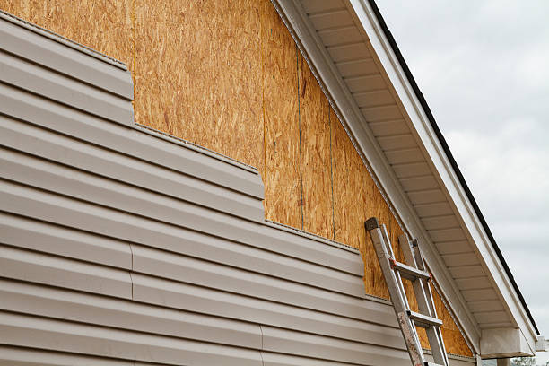 Professional Siding Inspection technician working in Lorain, OH